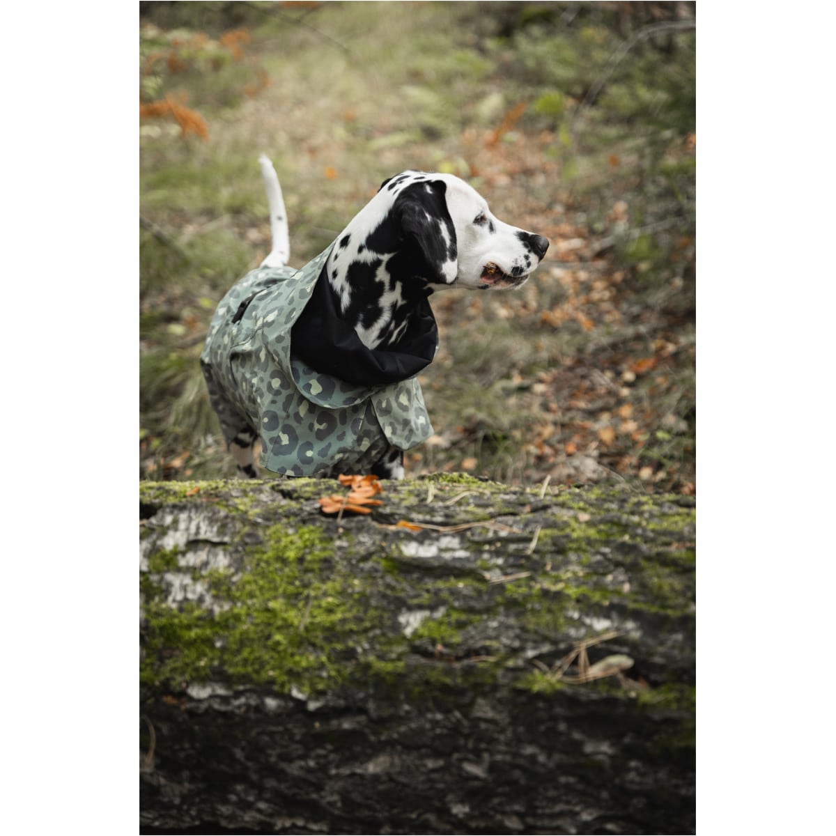 Paikka Visibility Regnjakke, Grøn Leo - Image 8