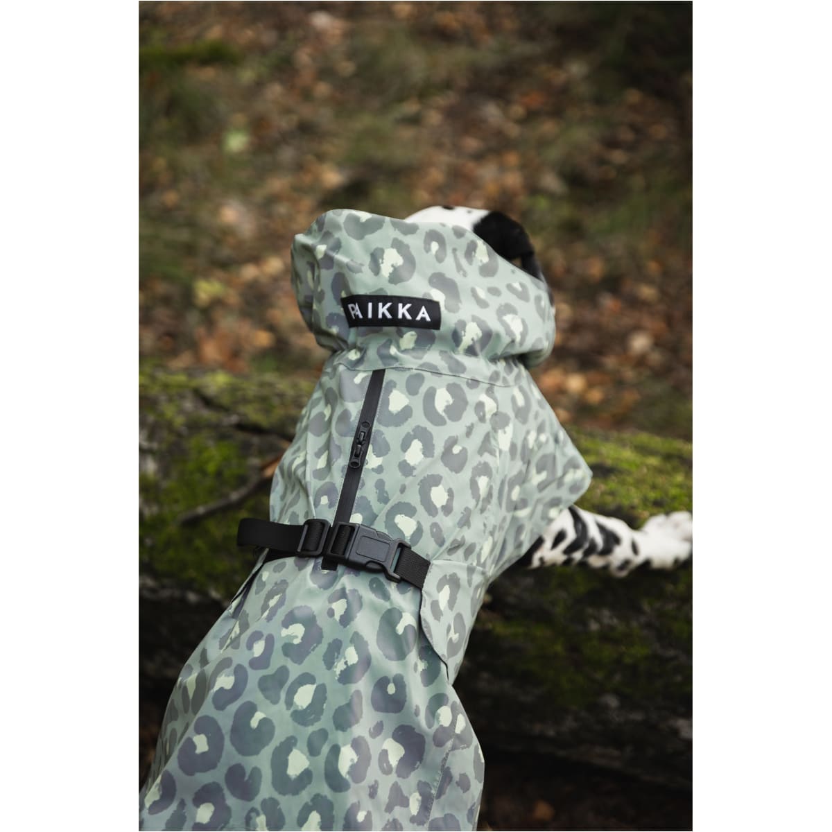 Paikka Visibility Regnjakke, Grøn Leo - Image 9