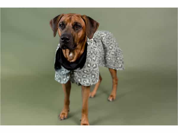 Paikka Visibility Regnjakke, Grøn Leo