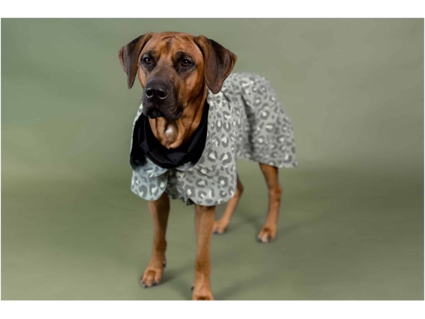 Giacca antipioggia PAIKKA, Verde leo, 20 (Copy)