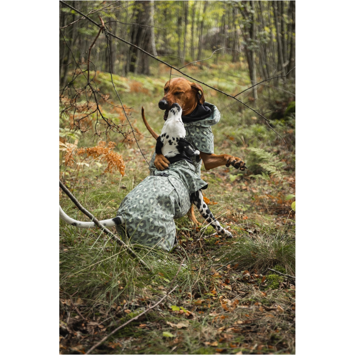 Paikka Visibility Regnjakke, Grøn Leo - Image 6