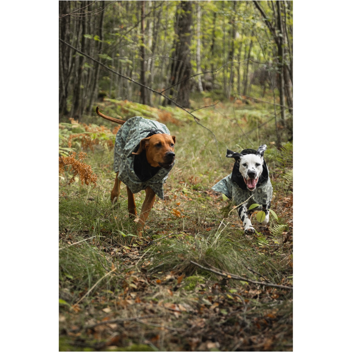 Paikka Visibility Regnjakke, Grøn Leo - Image 7