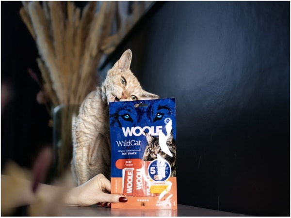 Woolf Wildcat Cream 5 stk, Beef + Shrimp Oil