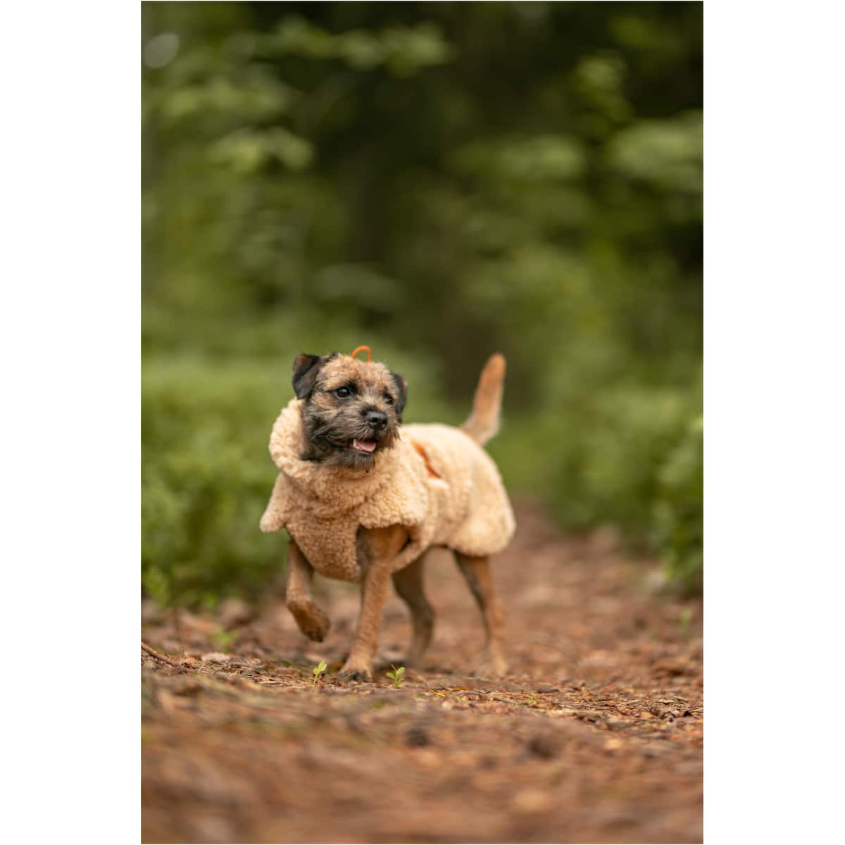 Paikka Sherpa Trøje, Taupe - Image 11