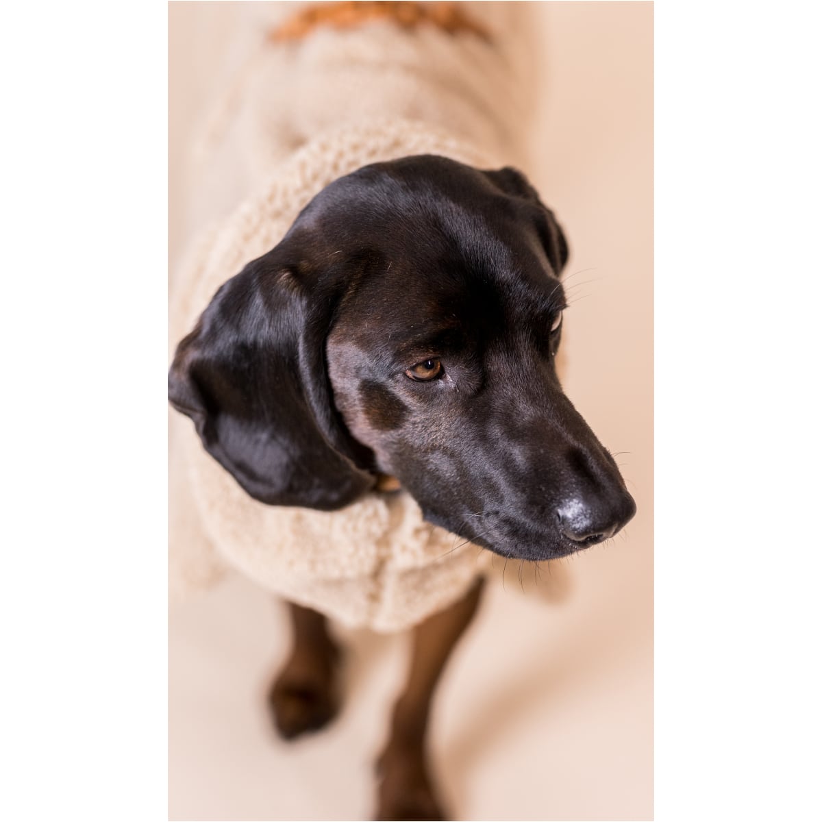 Paikka Sherpa Trøje, Taupe - Image 7