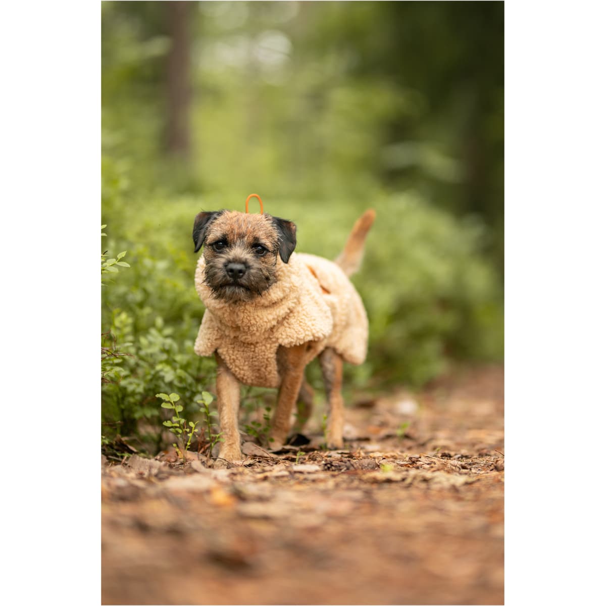 Paikka Sherpa Trøje, Taupe - Image 9