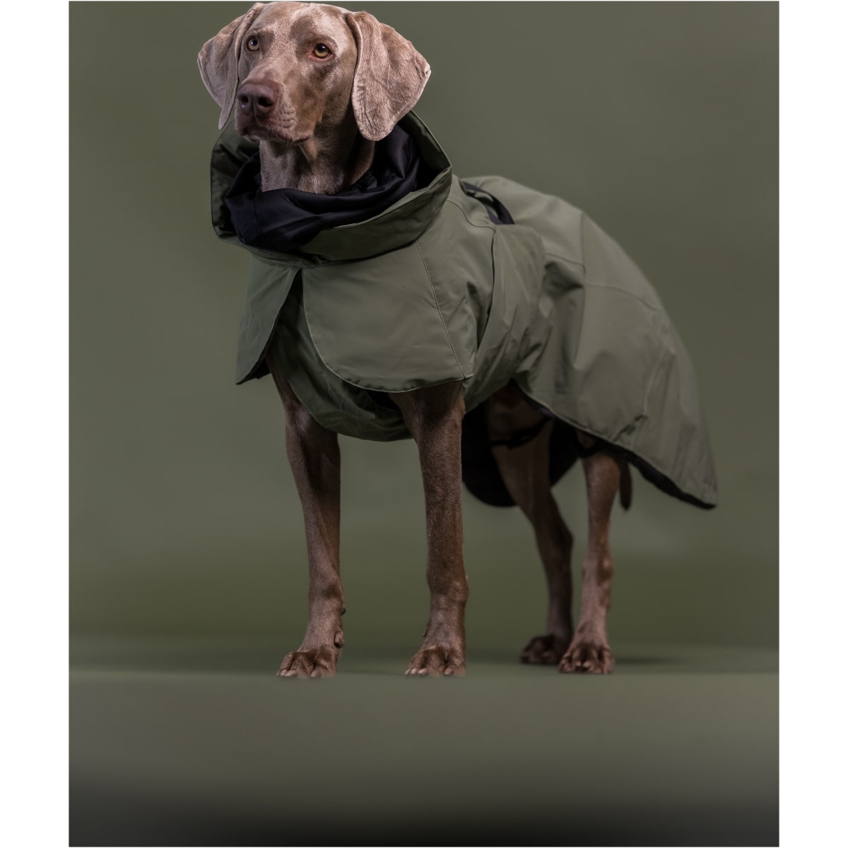 Paikka Visibility Vinterfrakke Uld, Grøn - Image 6