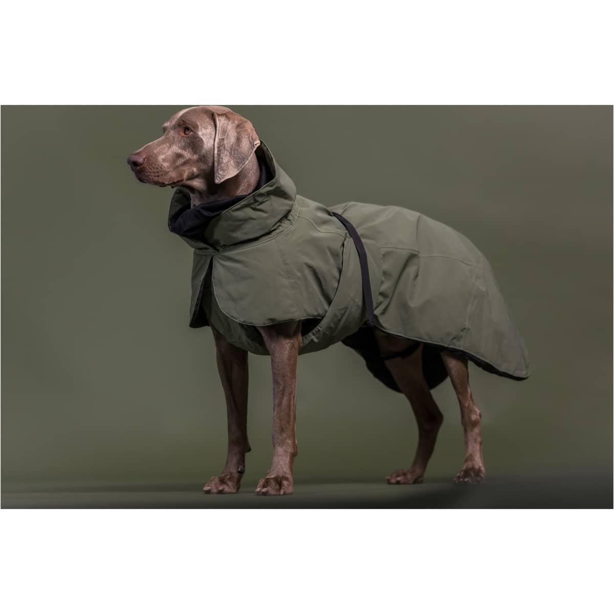 Paikka Visibility Vinterfrakke Uld, Grøn - Image 8