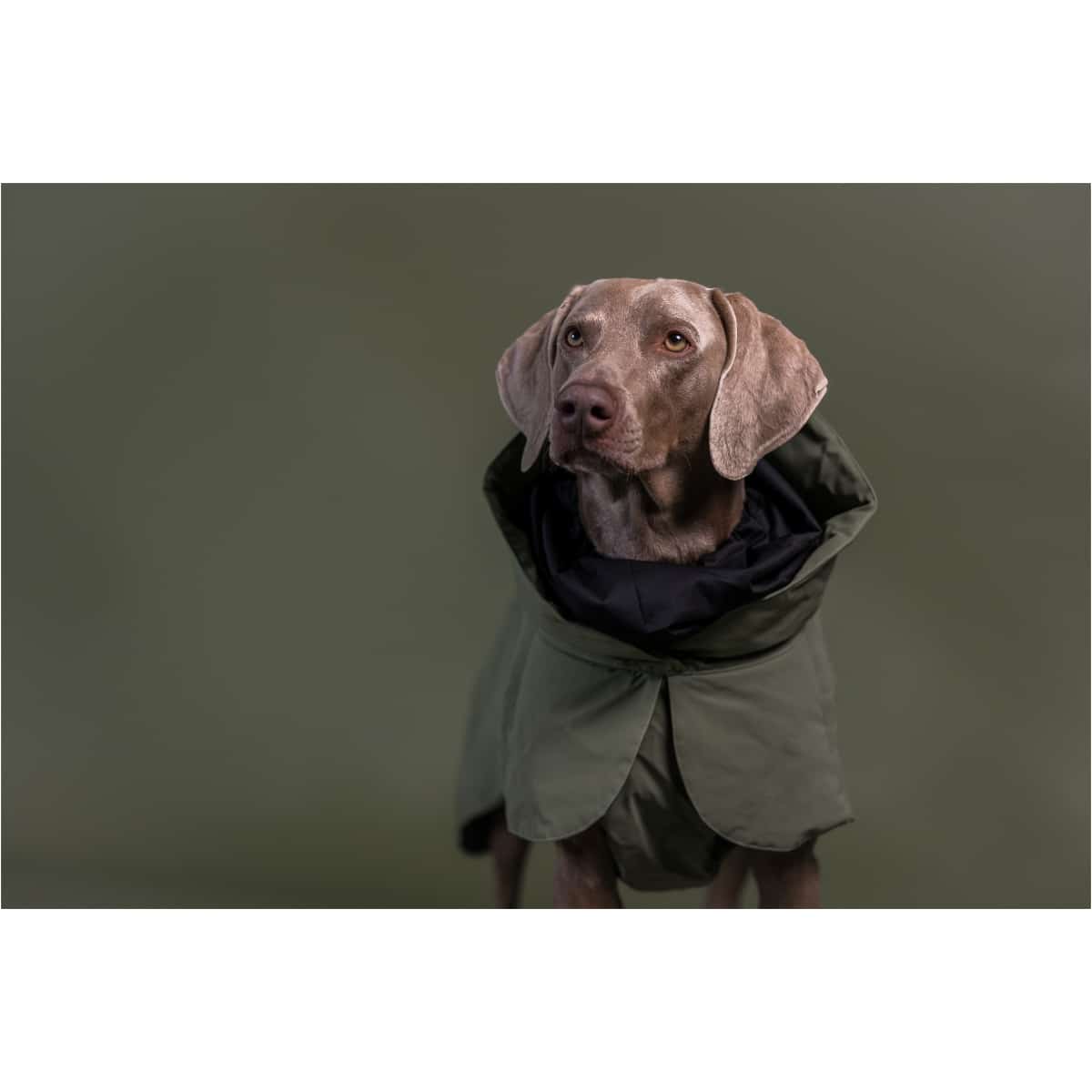 Paikka Visibility Vinterfrakke Uld, Grøn - Image 9