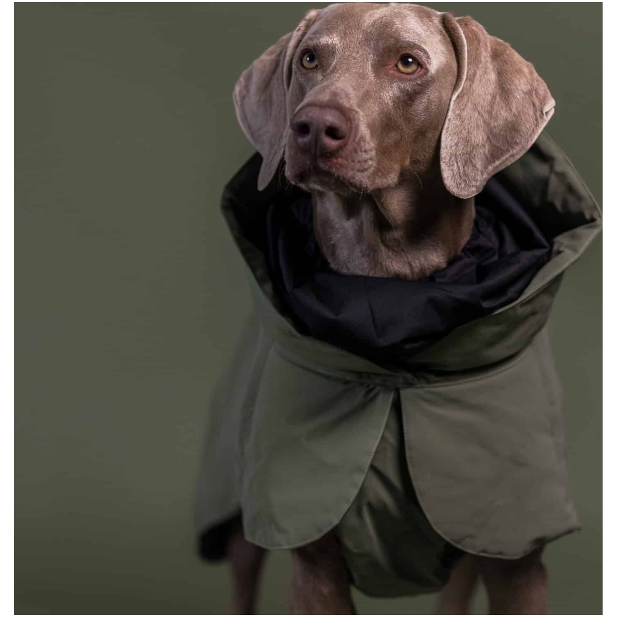 Paikka Visibility winter coat wool, Green 20 - Image 9