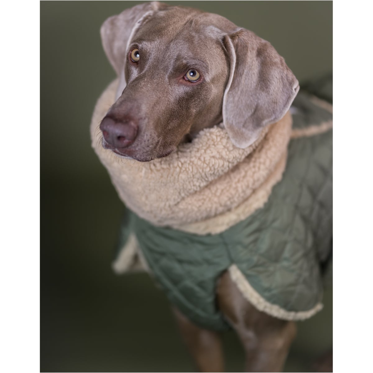 Paikka Quilted Sherpa Jakke, Olive - Image 6