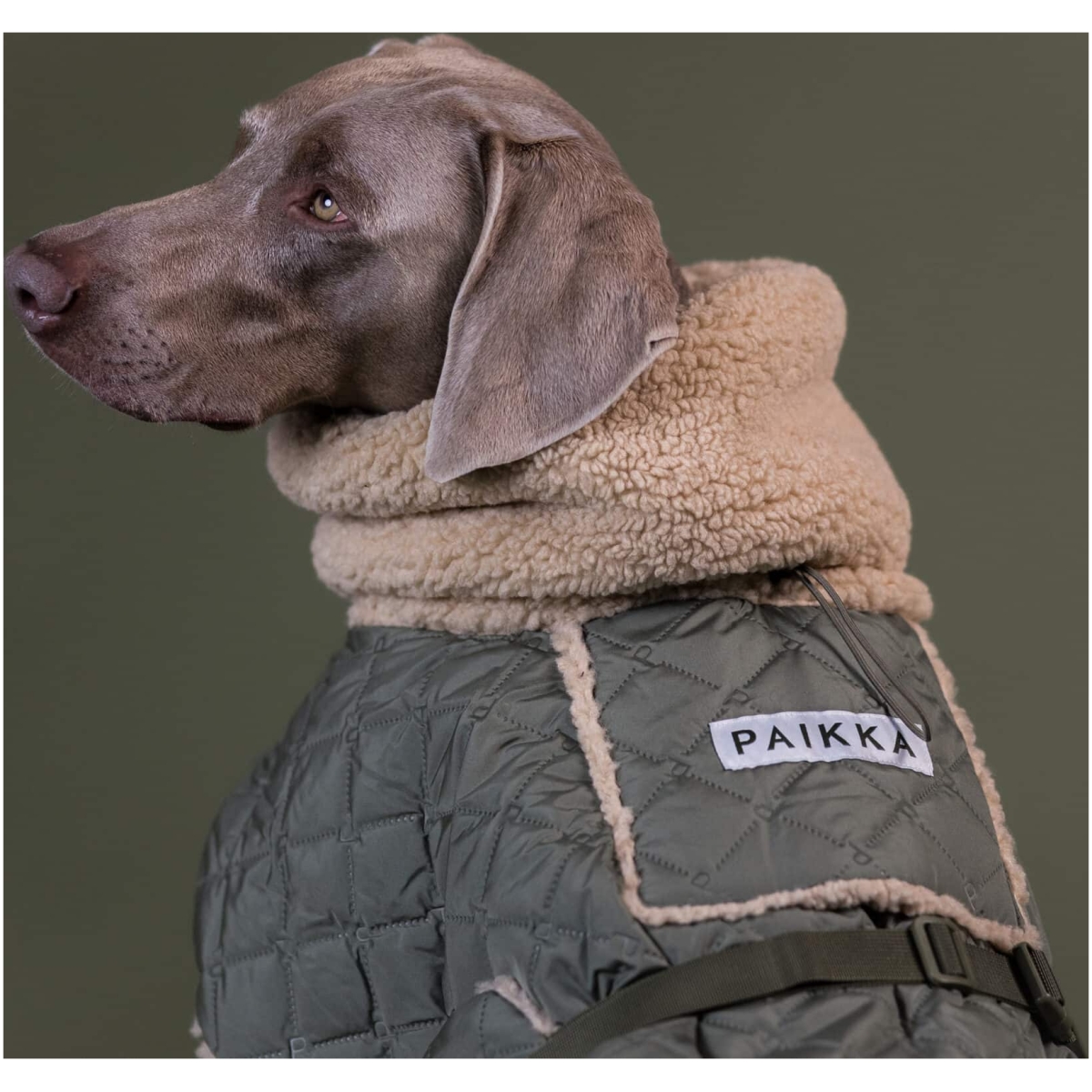 Paikka Quilted Sherpa Jacket, Olive - Image 7