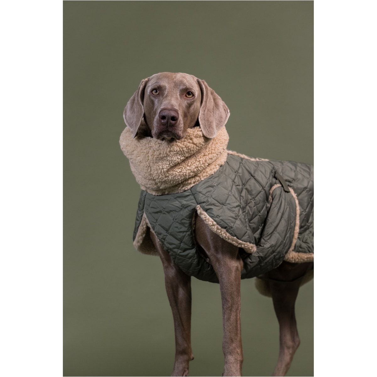 Paikka Quilted Sherpa Jakke, Olive - Image 8
