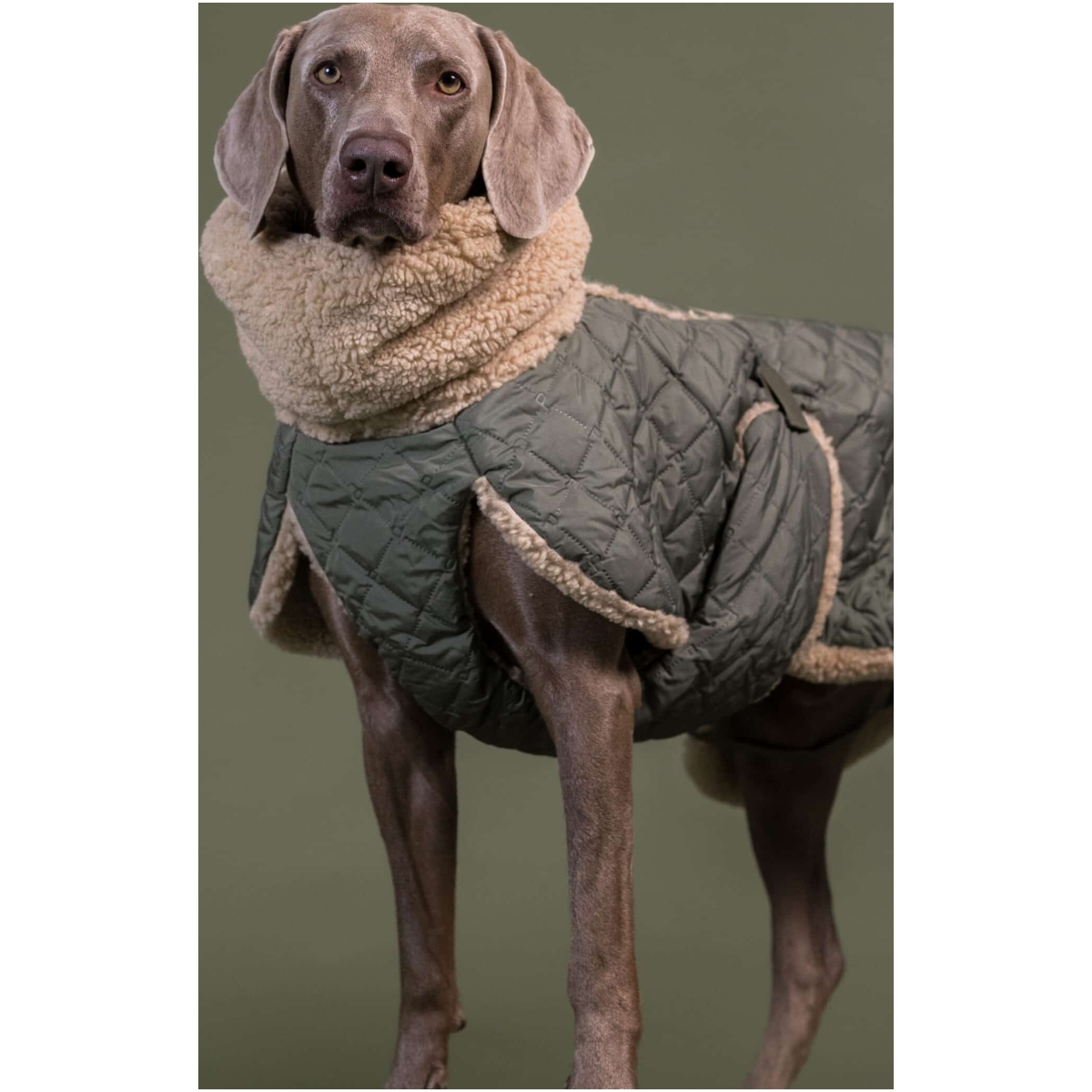 Paikka Quilted Sherpa Jacket, Olive - Image 8