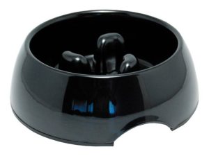 Royal-skaal-quando-hai-mangiato-per-urlare